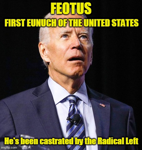 First Eunuch of the United States | FEOTUS; FIRST EUNUCH OF THE UNITED STATES; He's been castrated by the Radical Left | image tagged in joe biden,eunuch,feotus,castrated | made w/ Imgflip meme maker