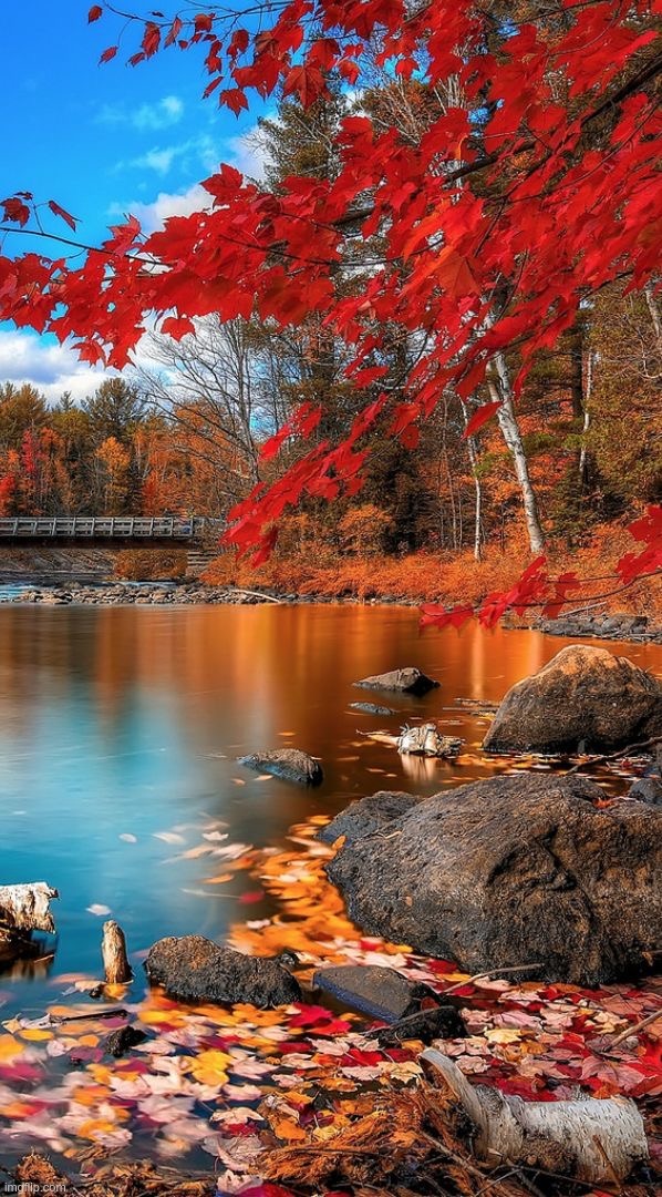 Bridge, Pond, Trees | image tagged in landscape_images stream,landscapes,scenery,rick75230 | made w/ Imgflip meme maker