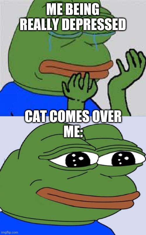Pepe sad and happy | ME BEING REALLY DEPRESSED; CAT COMES OVER
ME: | image tagged in pepe sad and happy | made w/ Imgflip meme maker