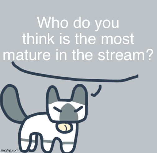 Random question, part 1 | Who do you think is the most mature in the stream? | image tagged in cat | made w/ Imgflip meme maker