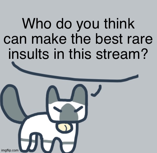 Random question, part 2 | Who do you think can make the best rare insults in this stream? | image tagged in cat | made w/ Imgflip meme maker