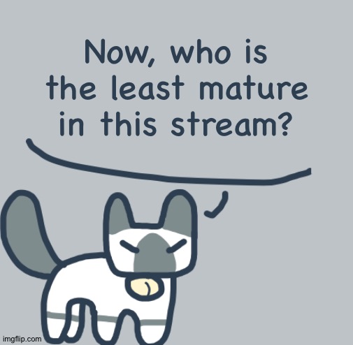 Random question, part 5 (probably obvious) | Now, who is the least mature in this stream? | image tagged in cat | made w/ Imgflip meme maker
