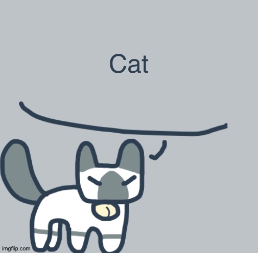Cat | Cat | image tagged in cat | made w/ Imgflip meme maker