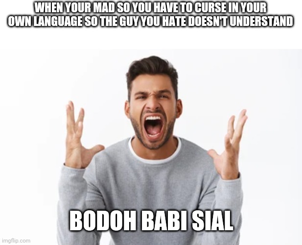 WHEN YOUR MAD SO YOU HAVE TO CURSE IN YOUR OWN LANGUAGE SO THE GUY YOU HATE DOESN'T UNDERSTAND; BODOH BABI SIAL | made w/ Imgflip meme maker