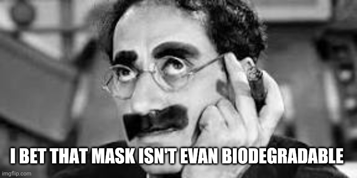 I BET THAT MASK ISN'T EVAN BIODEGRADABLE | made w/ Imgflip meme maker