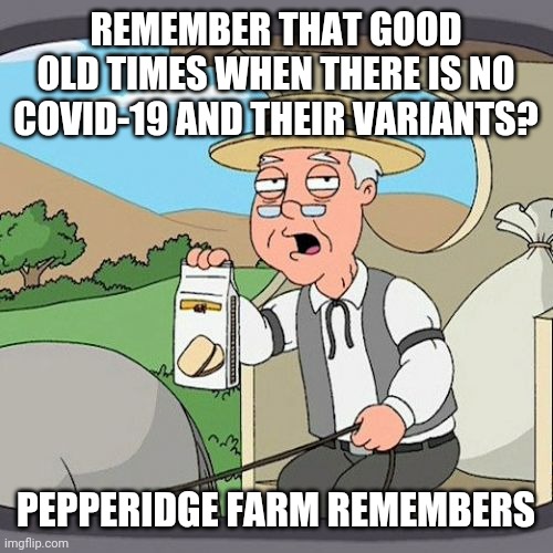 Pepperidge Farm Remembers Meme | REMEMBER THAT GOOD OLD TIMES WHEN THERE IS NO COVID-19 AND THEIR VARIANTS? PEPPERIDGE FARM REMEMBERS | image tagged in memes,pepperidge farm remembers,coronavirus,covid-19,variants,funny | made w/ Imgflip meme maker