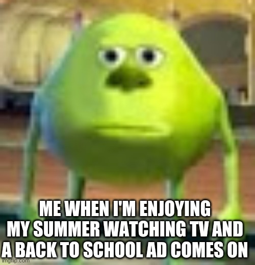 Sully Wazowski | ME WHEN I'M ENJOYING MY SUMMER WATCHING TV AND A BACK TO SCHOOL AD COMES ON | image tagged in sully wazowski,certified bruh moment,back to school | made w/ Imgflip meme maker
