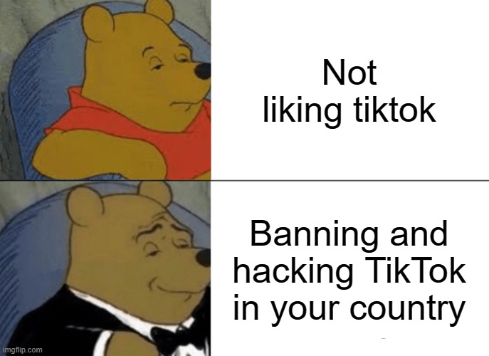 Tuxedo Winnie The Pooh Meme | Not liking tiktok; Banning and hacking TikTok in your country | image tagged in memes,tuxedo winnie the pooh | made w/ Imgflip meme maker