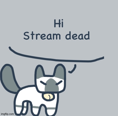Cat | Hi
Stream dead | image tagged in cat | made w/ Imgflip meme maker