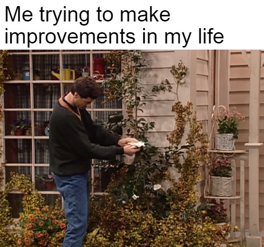 Danny Tanner Cleaning Leaves | Me trying to make improvements in my life | image tagged in danny tanner cleaning leaves,memes,meme,life,meirl | made w/ Imgflip meme maker