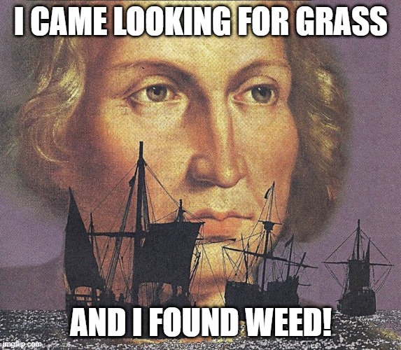 I came looking for copper and I found gold | I CAME LOOKING FOR GRASS; AND I FOUND WEED! | image tagged in i came looking for copper and i found gold | made w/ Imgflip meme maker
