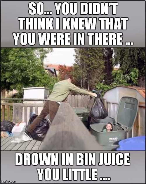 This Dad Knew All The Time ! | SO... YOU DIDN'T THINK I KNEW THAT YOU WERE IN THERE ... DROWN IN BIN JUICE 
YOU LITTLE .... | image tagged in fun,prank gone wrong,memes,bin juice | made w/ Imgflip meme maker