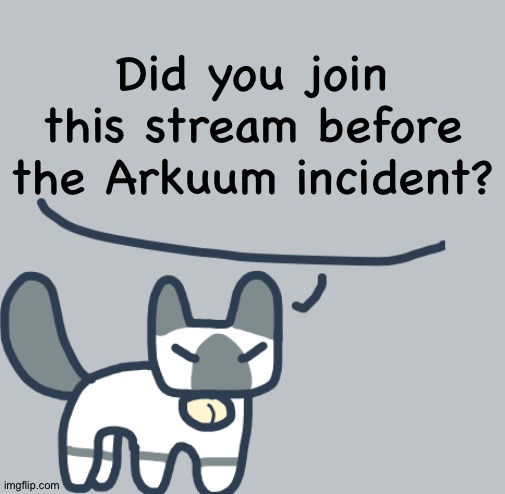 Random question, part 8 | Did you join this stream before the Arkuum incident? | image tagged in cat | made w/ Imgflip meme maker