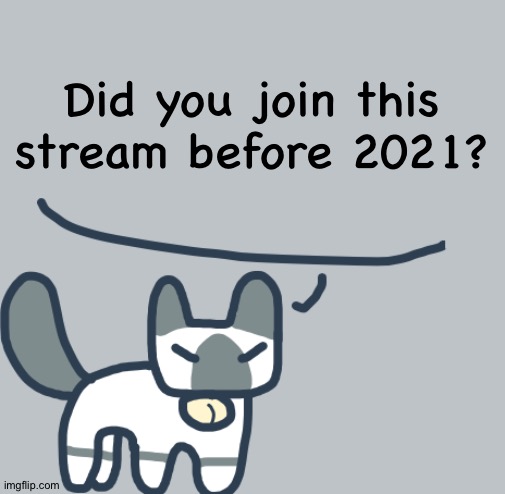 Random question, part 9 | Did you join this stream before 2021? | image tagged in cat | made w/ Imgflip meme maker