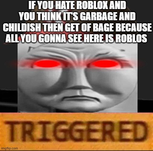 >:( | IF YOU HATE ROBLOX AND YOU THINK IT'S GARBAGE AND CHILDISH THEN GET OF BAGE BECAUSE ALL YOU GONNA SEE HERE IS ROBLOS | image tagged in roblox triggered | made w/ Imgflip meme maker