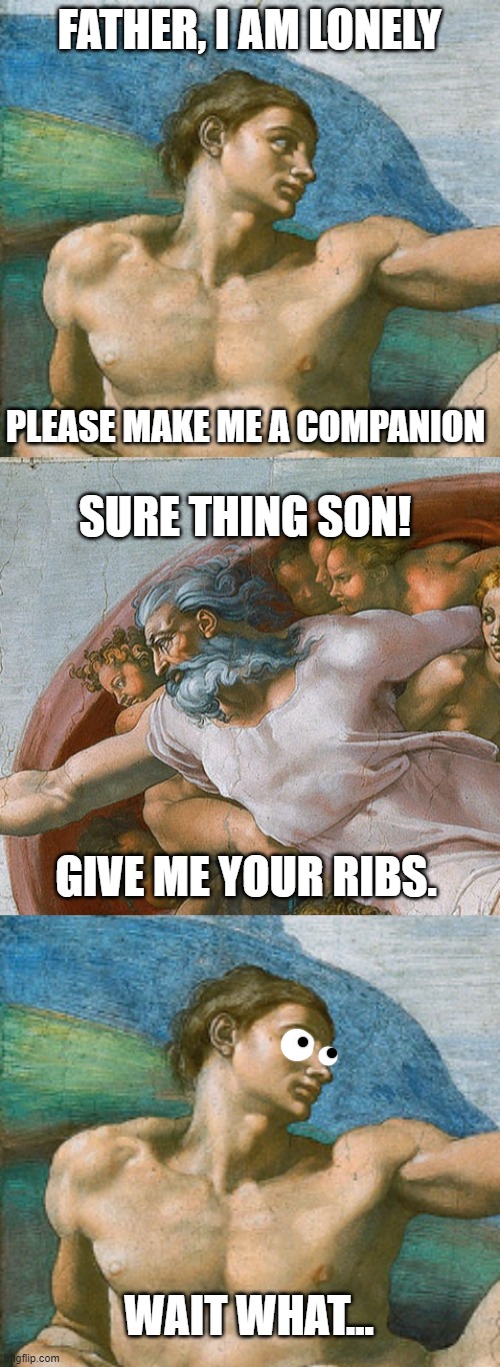 On second thought! Loneliness does sound better! | FATHER, I AM LONELY; PLEASE MAKE ME A COMPANION; SURE THING SON! GIVE ME YOUR RIBS. WAIT WHAT... | image tagged in creation of adam,adam and eve,god,memes,wait what,funny | made w/ Imgflip meme maker