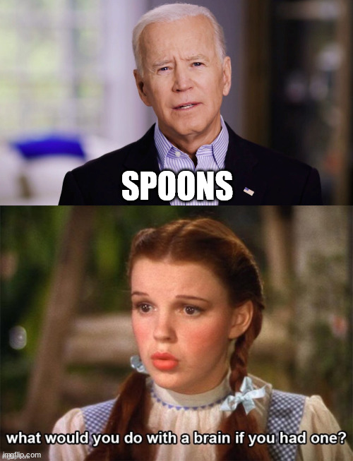 SPOONS | image tagged in joe biden 2020 | made w/ Imgflip meme maker