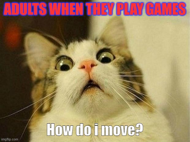 Scared Cat Meme | ADULTS WHEN THEY PLAY GAMES; How do i move? | image tagged in memes,scared cat | made w/ Imgflip meme maker