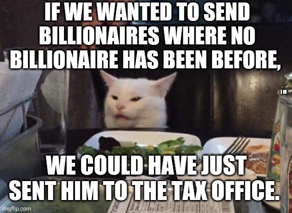 Salad cat | IF WE WANTED TO SEND BILLIONAIRES WHERE NO BILLIONAIRE HAS BEEN BEFORE, J M; WE COULD HAVE JUST SENT HIM TO THE TAX OFFICE. | image tagged in salad cat | made w/ Imgflip meme maker