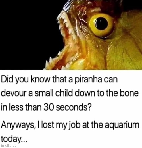 image tagged in dark humor | made w/ Imgflip meme maker