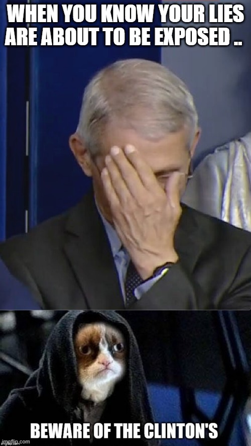 BEWARE of the Clinton's | WHEN YOU KNOW YOUR LIES ARE ABOUT TO BE EXPOSED .. | image tagged in dr fauci | made w/ Imgflip meme maker