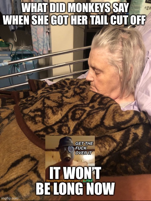 WHAT DID MONKEYS SAY WHEN SHE GOT HER TAIL CUT OFF; IT WON’T BE LONG NOW | image tagged in i will offend everyone,funny,memes | made w/ Imgflip meme maker