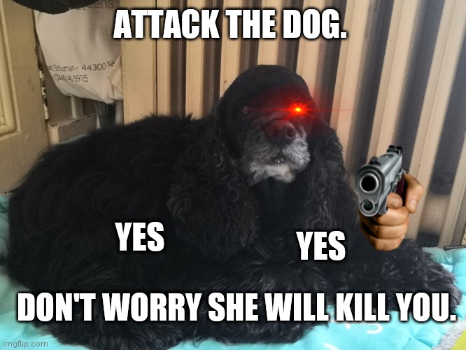Wanna die ? | ATTACK THE DOG. YES; YES; DON'T WORRY SHE WILL KILL YOU. | image tagged in die,doggos | made w/ Imgflip meme maker