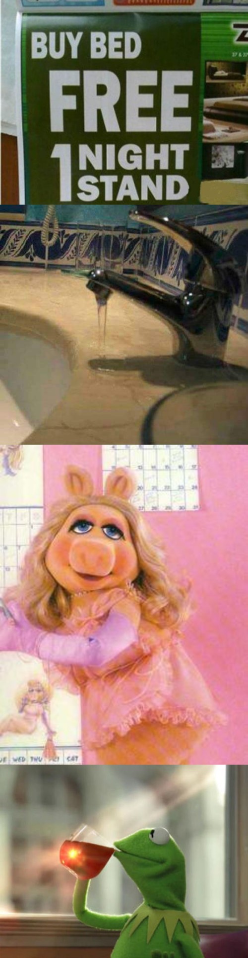 Kermit and miss piggy.  Long overdue | image tagged in you had one job,miss piggy,memes,but that's none of my business neutral | made w/ Imgflip meme maker