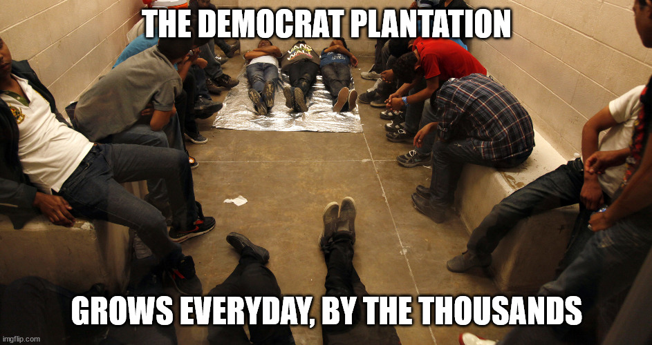 The plantation grows, guess who is paying for all this? YOU | THE DEMOCRAT PLANTATION; GROWS EVERYDAY, BY THE THOUSANDS | image tagged in democrat plantation,stupid liberals | made w/ Imgflip meme maker