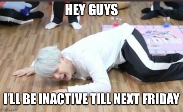 Yep sorry | HEY GUYS; I’LL BE INACTIVE TILL NEXT FRIDAY | image tagged in suga on the floor | made w/ Imgflip meme maker