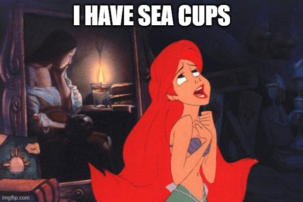 Little Mermaid | I HAVE SEA CUPS | image tagged in little mermaid | made w/ Imgflip meme maker