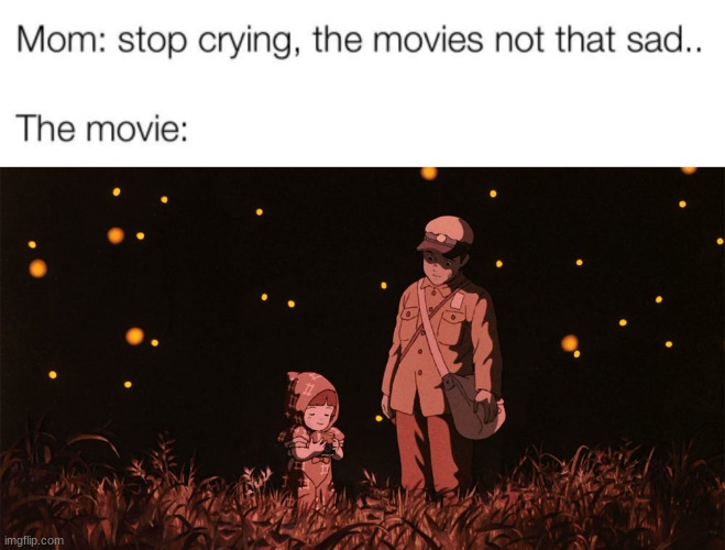 Grave of the Fireflies was a tearjerker | image tagged in studio ghibli,anime,memes,sad | made w/ Imgflip meme maker