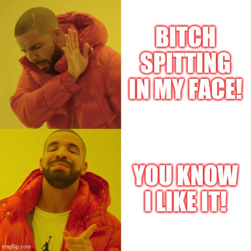 Drake Blank | BITCH SPITTING IN MY FACE! YOU KNOW I LIKE IT! | image tagged in drake blank | made w/ Imgflip meme maker