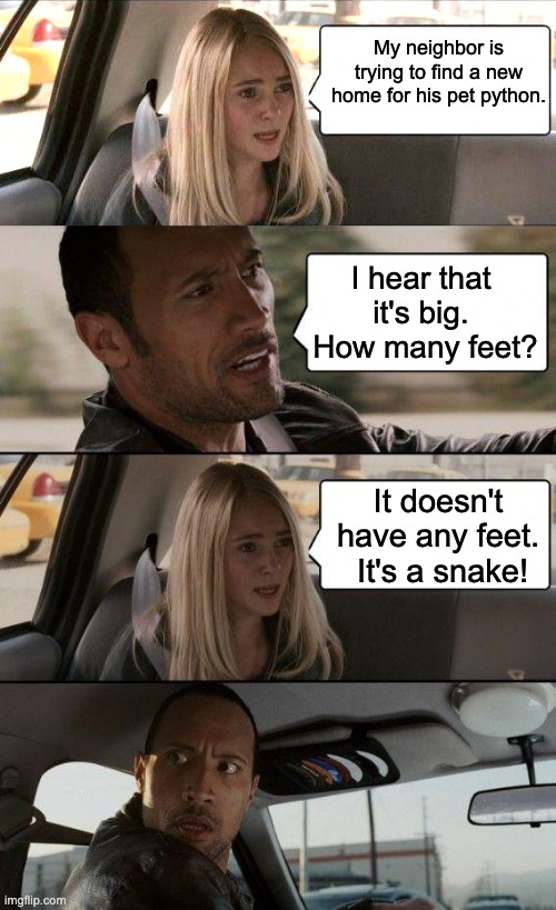 Feet | My neighbor is trying to find a new home for his pet python. I hear that it's big.  How many feet? It doesn't have any feet.  It's a snake! | image tagged in the rock driving - middle bright,memes,the rock driving | made w/ Imgflip meme maker