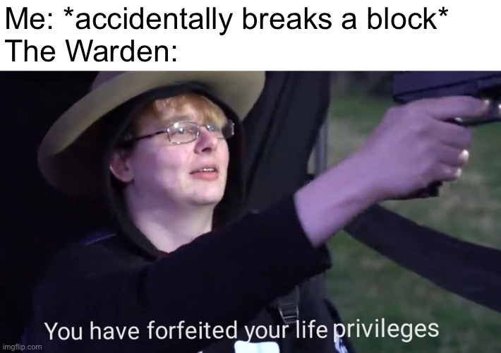 i am currently running | Me: *accidentally breaks a block*
The Warden: | image tagged in you have forfeited your life privileges | made w/ Imgflip meme maker
