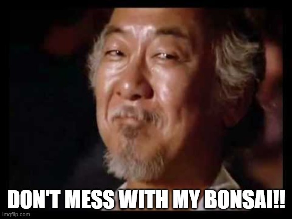 Bonsai |  DON'T MESS WITH MY BONSAI!! | image tagged in karate kid | made w/ Imgflip meme maker