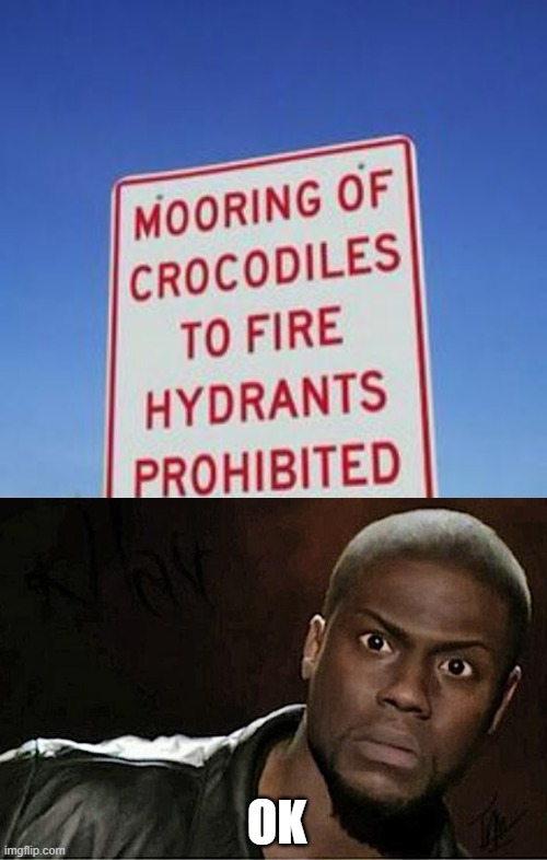 idk title | OK | image tagged in memes,kevin hart | made w/ Imgflip meme maker