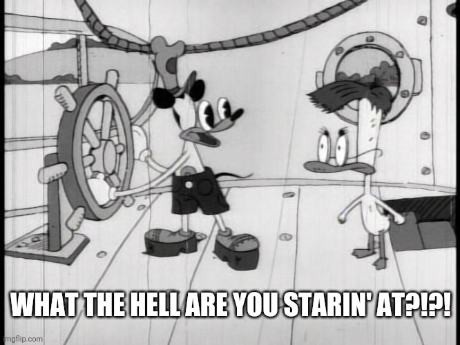 WHAT THE HELL ARE YOU STARIN' AT?!?! | image tagged in duckman | made w/ Imgflip meme maker