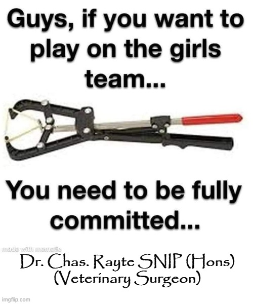 Dr. Snip | Dr. Chas. Rayte SNIP (Hons)
(Veterinary Surgeon) | image tagged in veterinarian | made w/ Imgflip meme maker