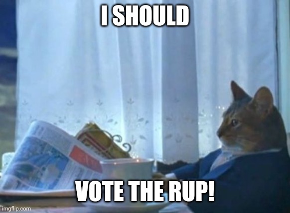 Make the Right Choice! Vote RUP! | I SHOULD; VOTE THE RUP! | image tagged in memes,i should buy a boat cat | made w/ Imgflip meme maker