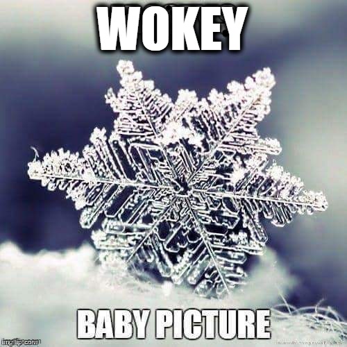 Baby Wokey | WOKEY | image tagged in special snowflake | made w/ Imgflip meme maker