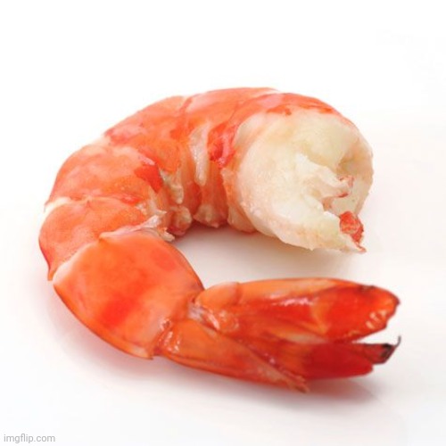 Shrimp No Head | image tagged in shrimp no head | made w/ Imgflip meme maker