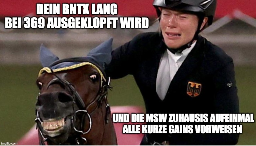 Troll Horse | DEIN BNTX LANG BEI 369 AUSGEKLOPFT WIRD; UND DIE MSW ZUHAUSIS AUFEINMAL ALLE KURZE GAINS VORWEISEN | image tagged in troll horse | made w/ Imgflip meme maker