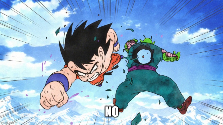 Kid Goku Dragon Fist | NO | image tagged in kid goku dragon fist | made w/ Imgflip meme maker