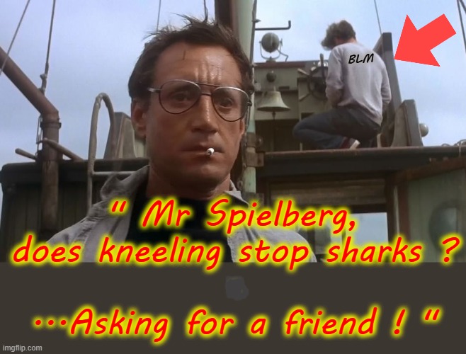 Big Larks Matter | BLM; " Mr Spielberg,
does kneeling stop sharks ?
.
...Asking for a friend ! " | image tagged in going to need a bigger boat | made w/ Imgflip meme maker