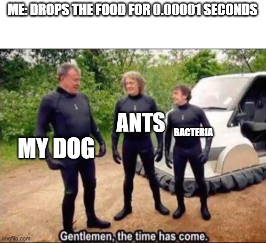 Jason's fresh daily memes #i've lost count |  ME: DROPS THE FOOD FOR 0.00001 SECONDS; ANTS; MY DOG; BACTERIA | image tagged in gentlemen the time has come,memes,dank memes | made w/ Imgflip meme maker