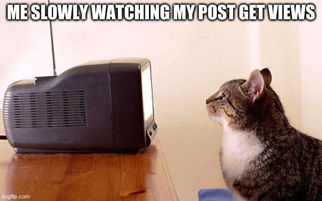 It's going.. | ME SLOWLY WATCHING MY POST GET VIEWS | image tagged in cat watching tv | made w/ Imgflip meme maker