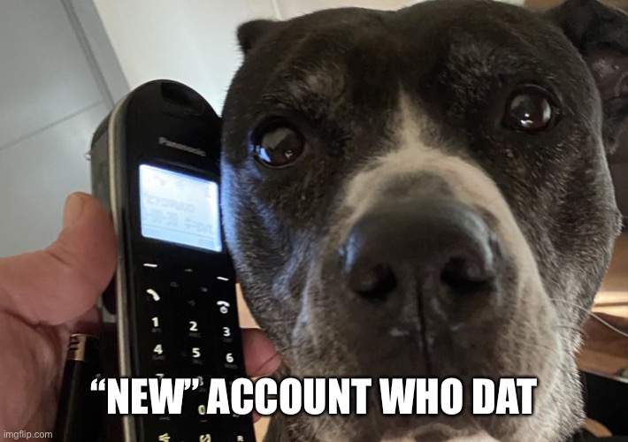 New phone dawg | “NEW” ACCOUNT WHO DAT | image tagged in new phone dawg | made w/ Imgflip meme maker