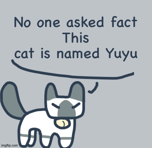 Cat | No one asked fact
This cat is named Yuyu | image tagged in cat | made w/ Imgflip meme maker