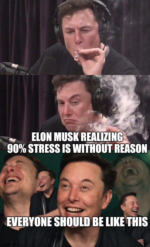 ELON MUSK REALIZING 90% STRESS IS WITHOUT REASON; EVERYONE SHOULD BE LIKE THIS | image tagged in elon musk weed,elon musk laughing | made w/ Imgflip meme maker